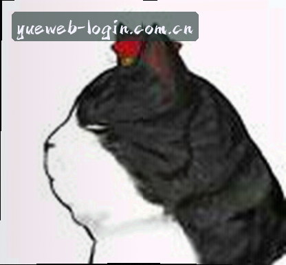 李伟